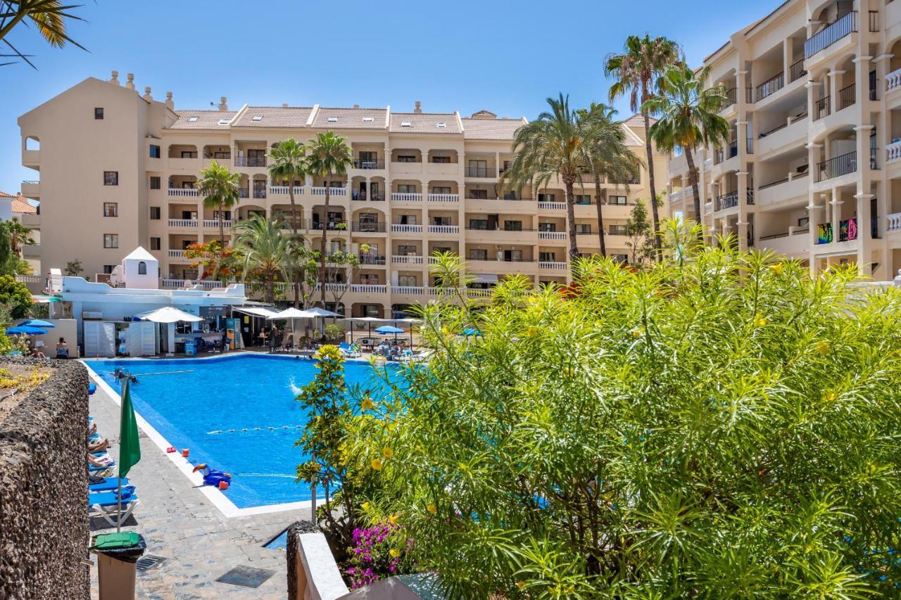 Castle Harbour Cozy Studio Heated Pool Los Cristianos Lovetenerife Arona  Eksteriør billede